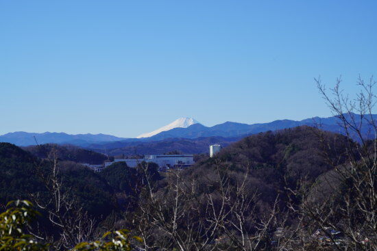 天覧山からの富士山
