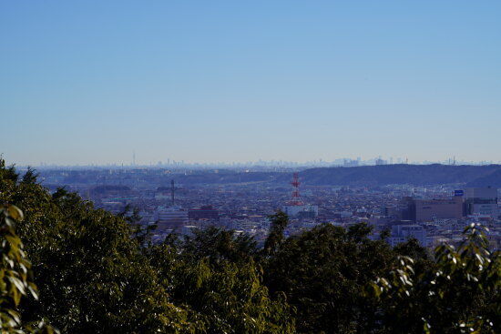 天覧山からの都心の眺望