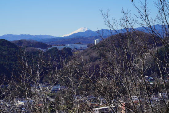 富士山も頭を出しています