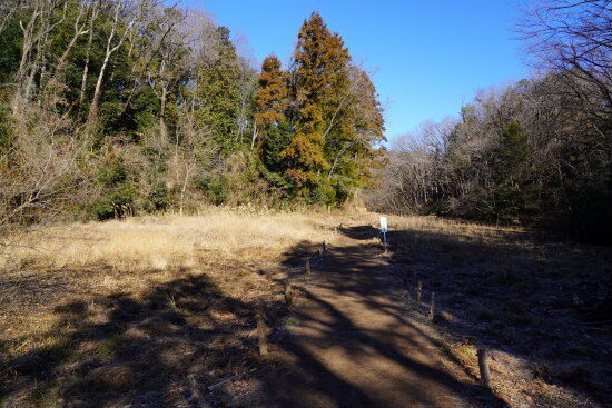 里山感ある道