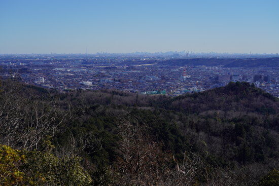 多峯主山からの都心の眺望