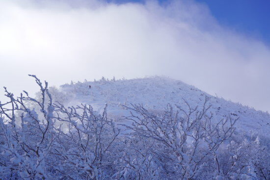 マイナス18℃で登る天狗岳