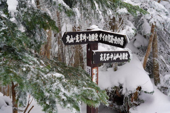 途中の道標