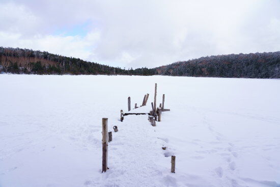広く雪原となった白駒池