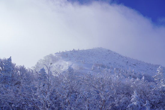 それなりに急登の天狗岳