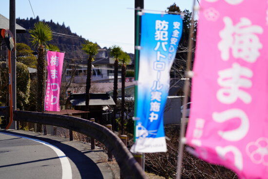 梅まつり