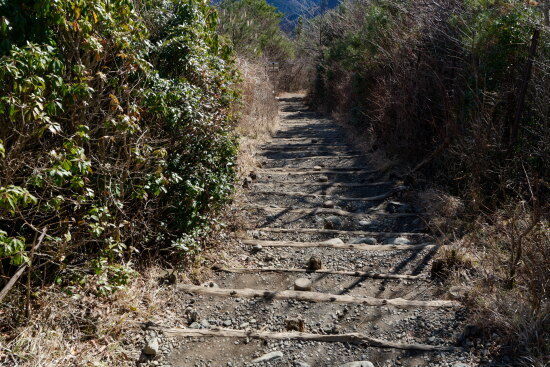 ようやく木の階段（下りでの写真）