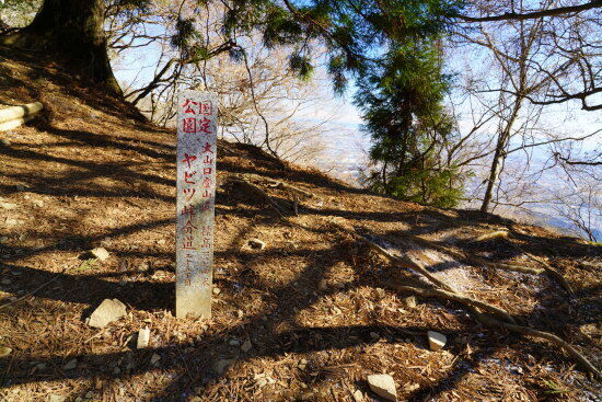 ヤビツ峠からのルートと合流