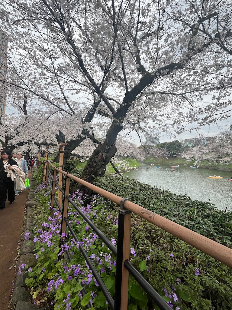 f:id:muu_sam:20240517130534j:image