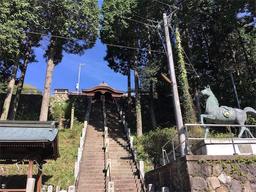 f:id:muusan0726:20190506084420j:image f:id:muusan0726:20190506084420j:image