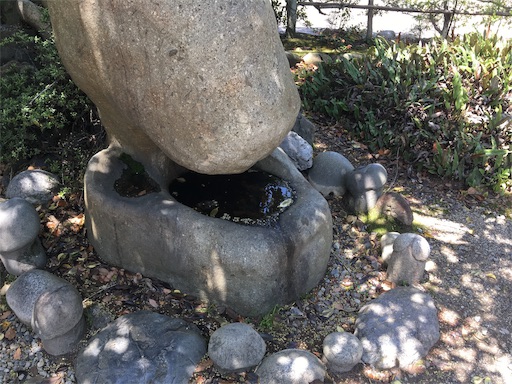 f:id:muusan0726:20190506084449j:image f:id:muusan0726:20190506084449j:image