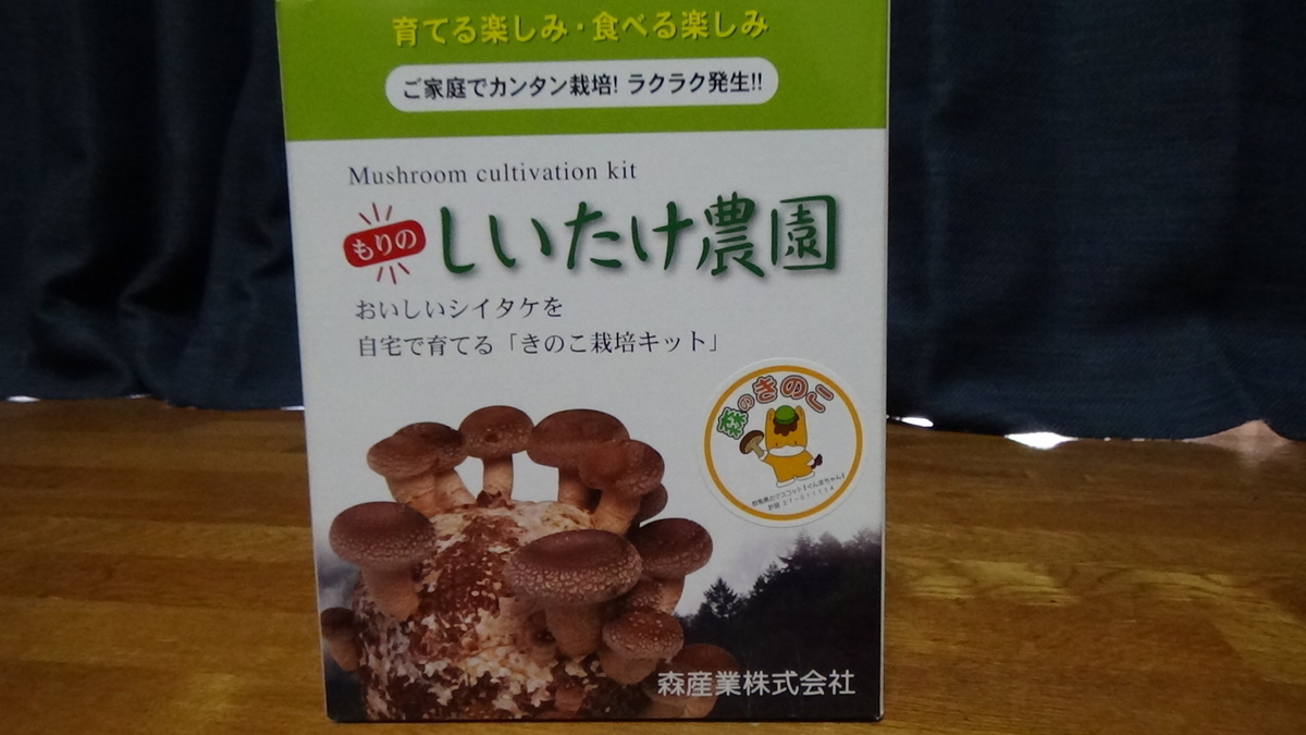 f:id:muusan213:20200217175239j:plain f:id:muusan213:20200217175239j:plain