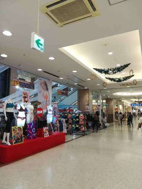 f:id:muutanv:20191125003130j:image