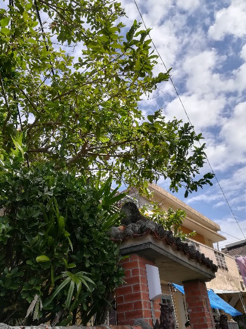 f:id:muutanv:20191222181915j:image