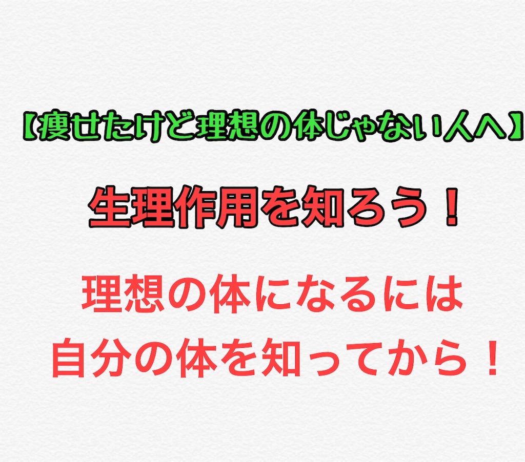 f:id:mvb626:20191113131856j:image f:id:mvb626:20191113131856j:image