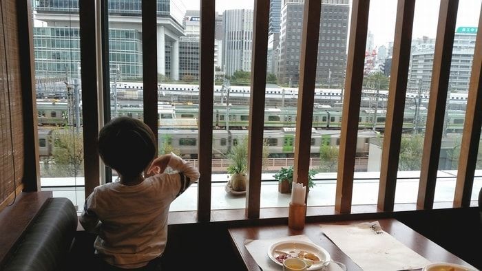 東京駅のトレインスポット3選 子供が絶対に喜ぶ電車が見える場所を紹介 柔術lifelog 東京駅のトレインスポット3選 子供が絶対に喜ぶ電車が見える場所を紹介 柔術lifelog