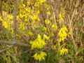 20110325064002