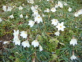 20110325064134
