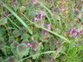 20110325064524
