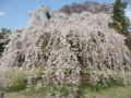 20110409140423