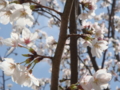 20110409140802
