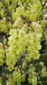 20110429134315