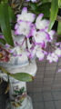 20110618171344
