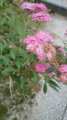 20110624065900