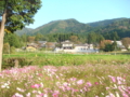 20111029152117