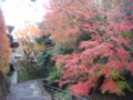 20111202142953