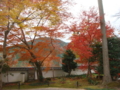 20111202150233