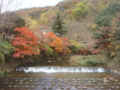 20111204115501