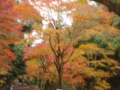 20111204143114