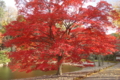 20111209135921