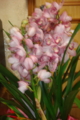 20120121171617
