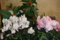 20120121171701