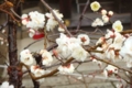 20120304133812