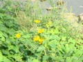 20120909075522