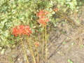 20120927074629