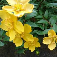 f:id:mwenge:20170601114920j:plain f:id:mwenge:20170601114920j:plain