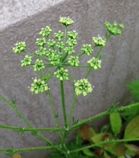 f:id:mwenge:20170607085754j:plain f:id:mwenge:20170607085754j:plain