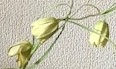 f:id:mwenge:20180402132845j:plain