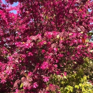 f:id:mwenge:20180420090944j:plain f:id:mwenge:20180420090944j:plain