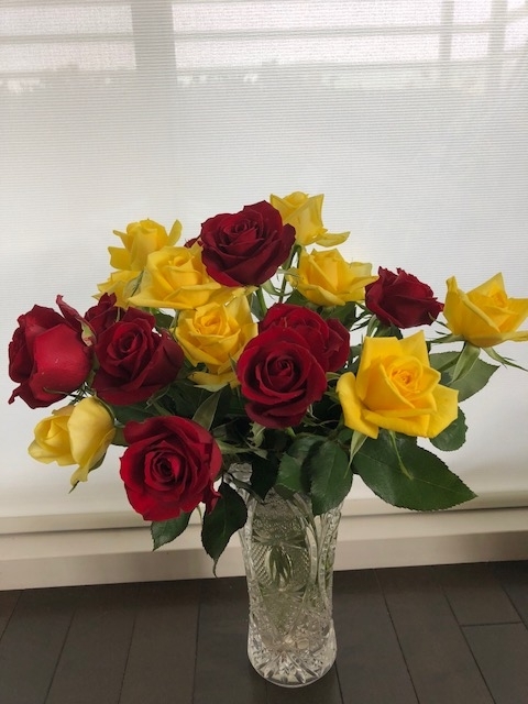 f:id:mwenge:20180516080043j:plain f:id:mwenge:20180516080043j:plain