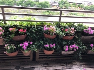 f:id:mwenge:20180606093447j:plain