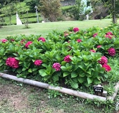 f:id:mwenge:20180706084600j:plain f:id:mwenge:20180706084600j:plain
