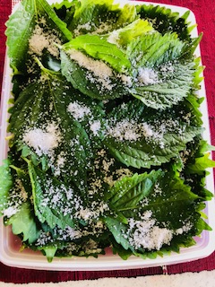 f:id:mwenge:20180817133451j:plain