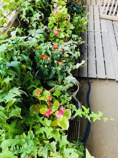 f:id:mwenge:20180917093451j:plain f:id:mwenge:20180917093451j:plain