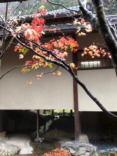 f:id:mwenge:20181207085843j:plain