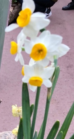 f:id:mwenge:20190108090512j:plain f:id:mwenge:20190108090512j:plain